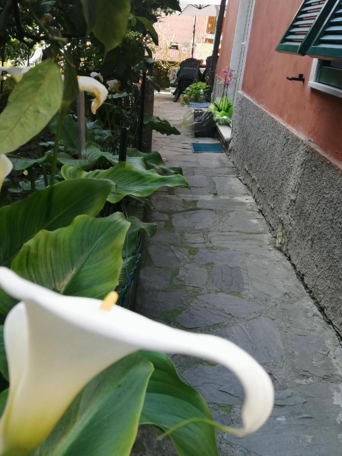 A Ca Du Barba Apartment Monterosso al Mare Bagian luar foto
